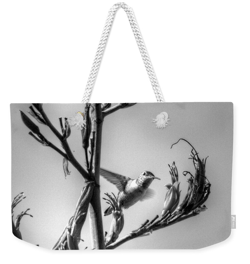 Black And White Hummingbirds Weekender Tote Bag featuring the photograph Flax Flower Attraction by Joe Schofield
