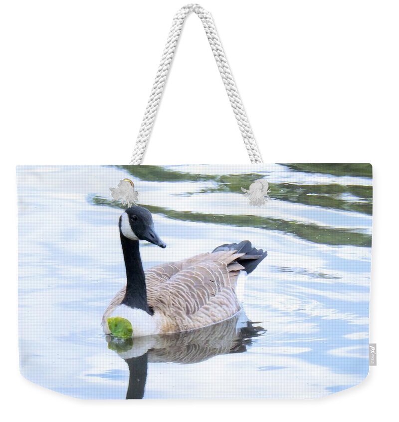Canada Weekender Tote Bag featuring the photograph Floating On A Lily Pad by Robyn King
