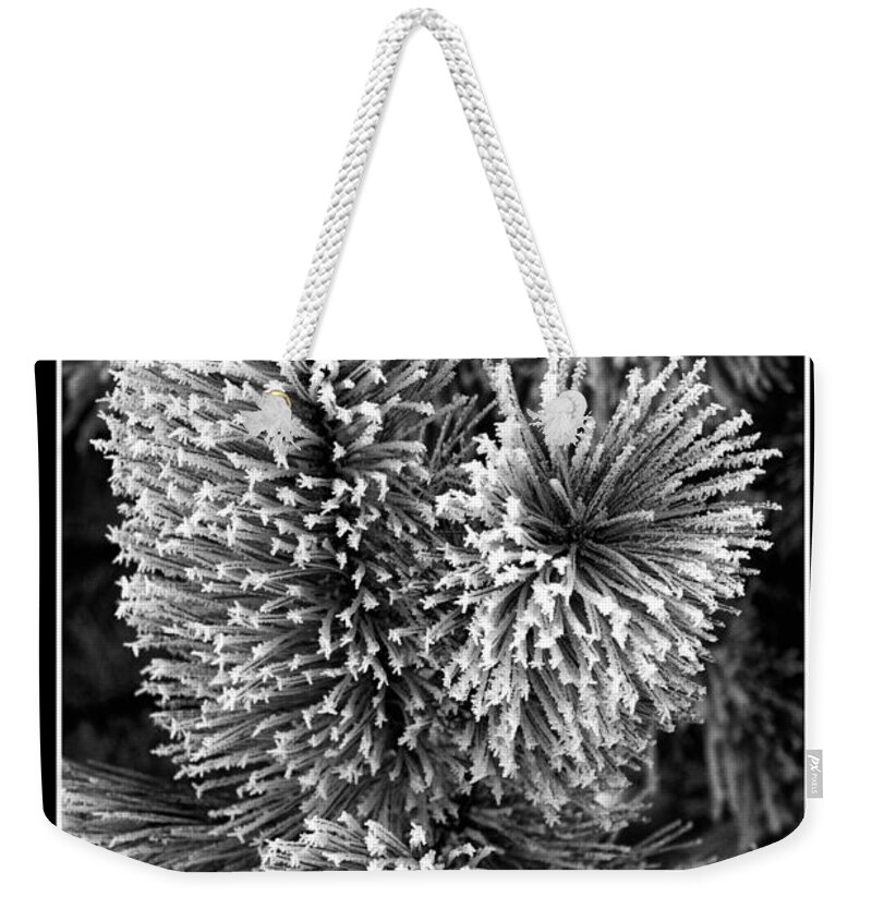 Pine Weekender Tote Bag featuring the photograph Flocked by Nature by Nikolyn McDonald