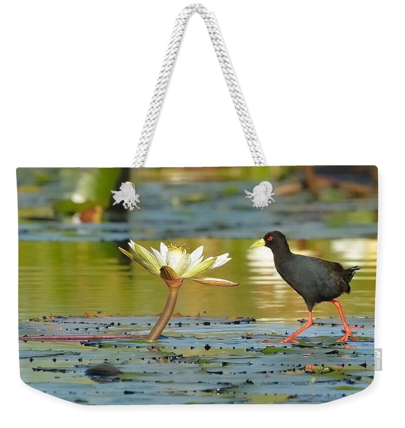 Botswana Weekender Tote Bag featuring the photograph Flora And Fauna by Duncan Blackburn