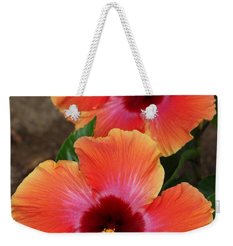 Hibiscus Weekender Tote Bag featuring the photograph Floral Beauty 2 by Christy Pooschke
