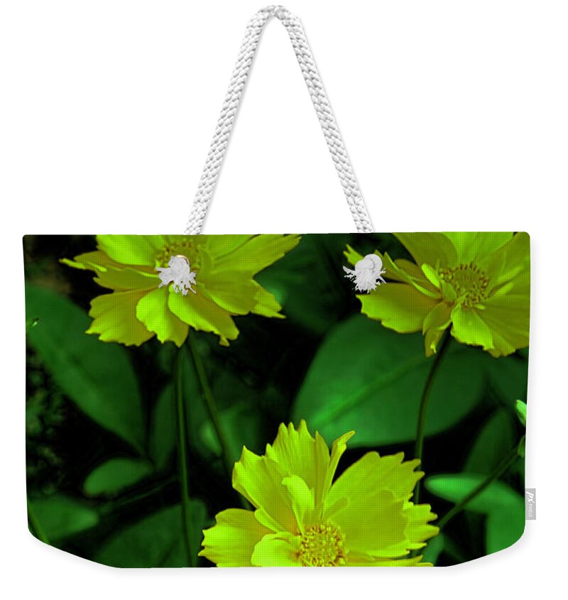 Floral Weekender Tote Bag featuring the photograph Floral Glow by Bonnie Willis