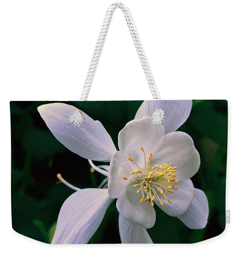 Floral White And Gold Weekender Tote Bag featuring the photograph Floral White And Gold by Byron Varvarigos