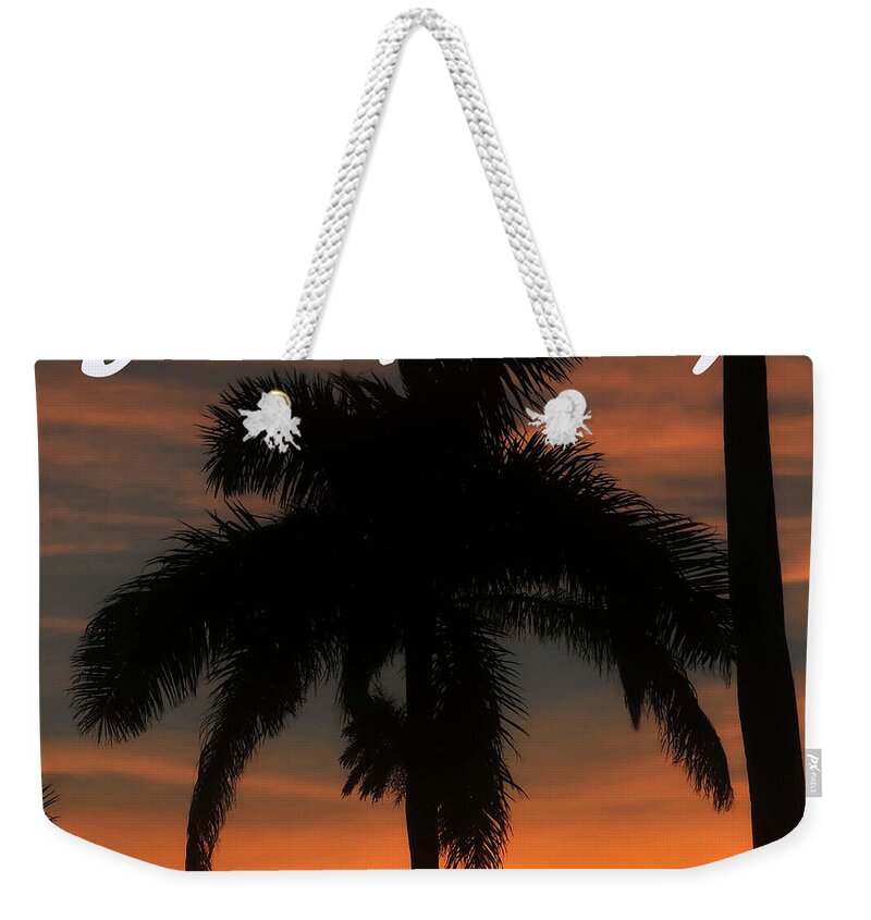 Florida Weekender Tote Bag featuring the photograph Florida State royal palm 1 by David Lee Thompson