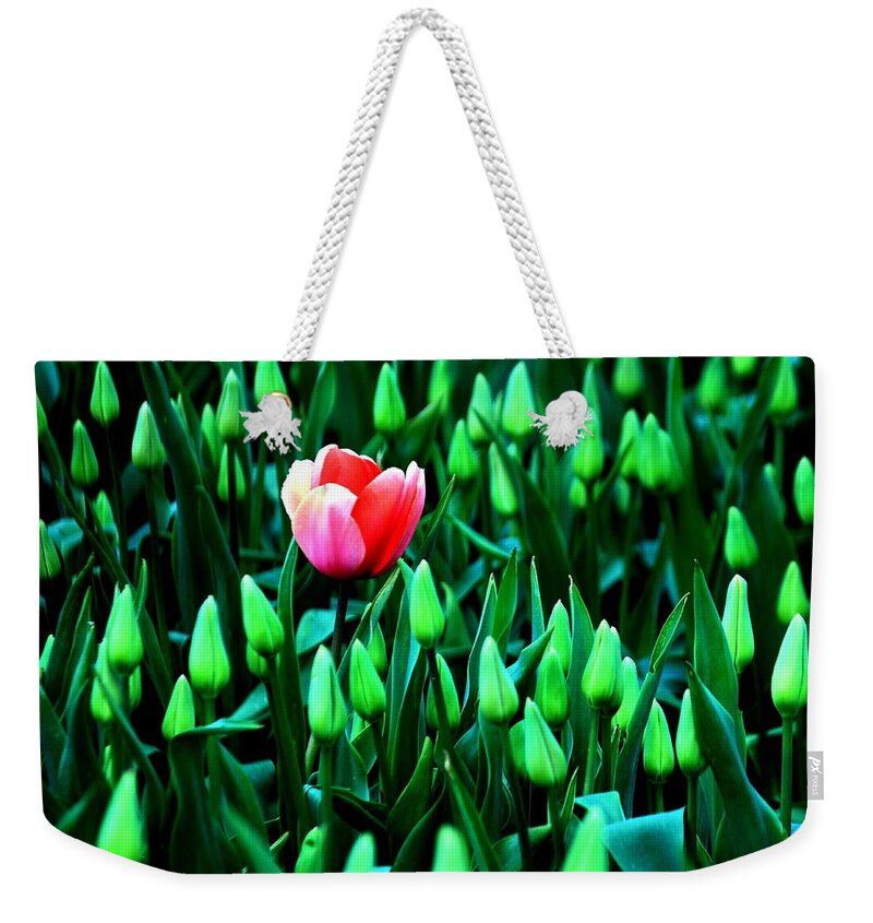 Tulips Weekender Tote Bag featuring the photograph Flourish by Benjamin Yeager