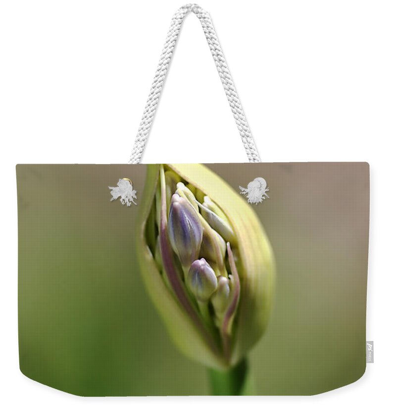 Lily Of The Nile Weekender Tote Bag featuring the photograph Flower-agapanthus-bud by Joy Watson