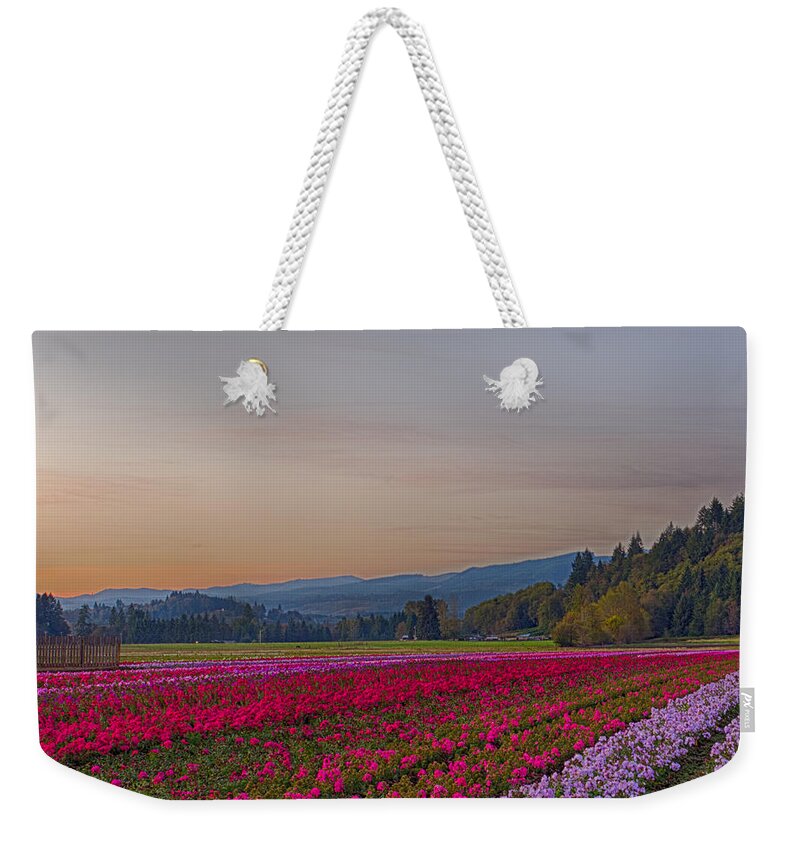 Flowers Weekender Tote Bag featuring the photograph Flower Field at Sunset in a Standard Ratio by Leah Palmer