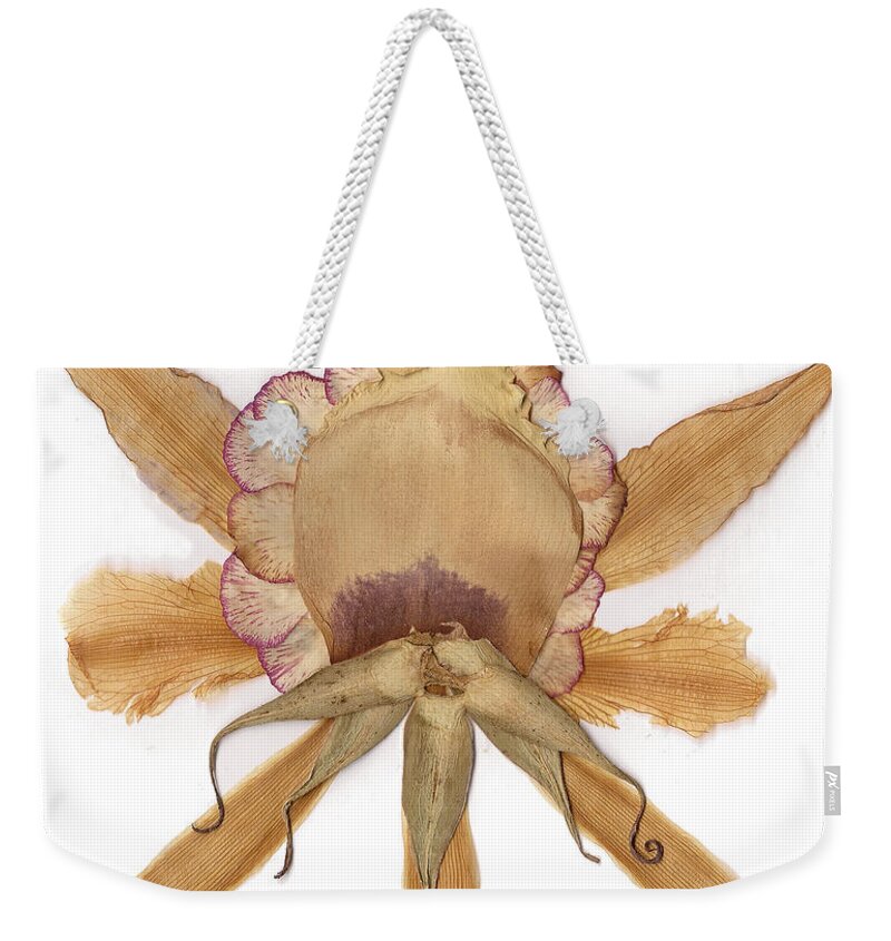 Flower Weekender Tote Bag featuring the mixed media Flower Mandala 6 by Michelle Bien