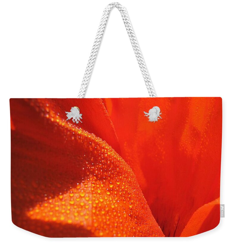 Poppy Flower Weekender Tote Bag featuring the photograph Red Poppy - Peace and Death Flower by Maciek Froncisz