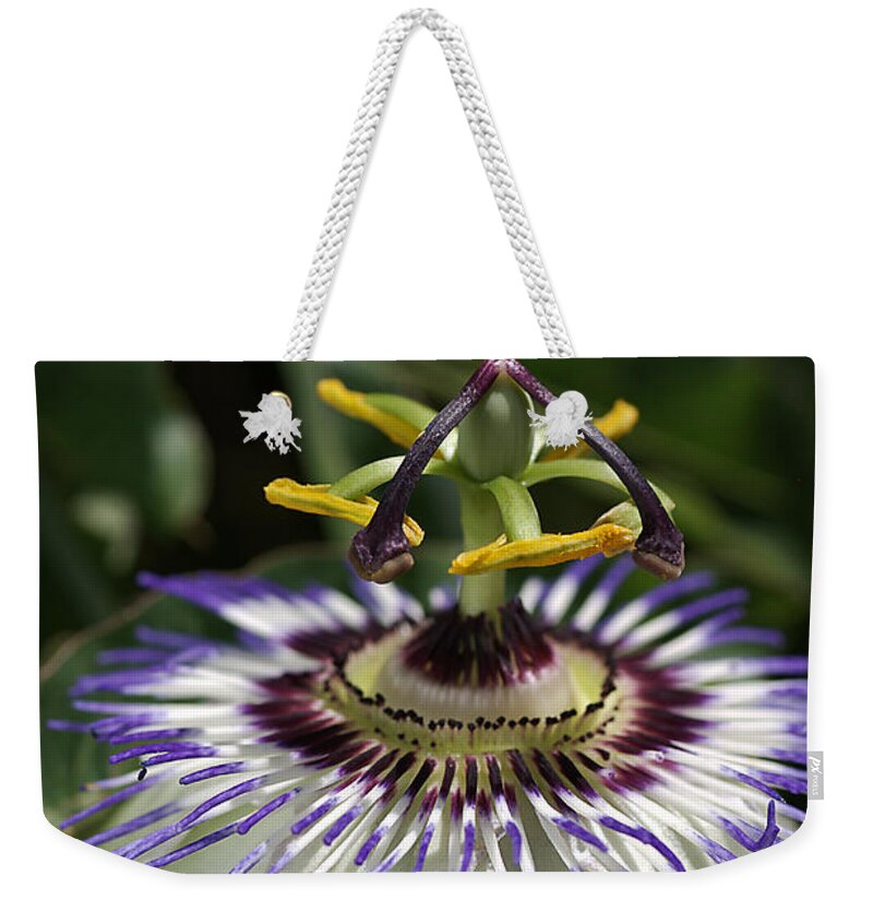 Flower Weekender Tote Bag featuring the photograph flower-Passionfruit by Joy Watson