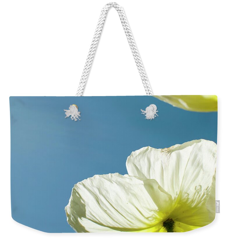 Clear Sky Weekender Tote Bag featuring the photograph Flower Pedels by Pete Starman