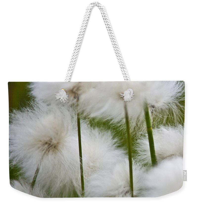 Heiko Weekender Tote Bag featuring the photograph Flower Pompom by Heiko Koehrer-Wagner