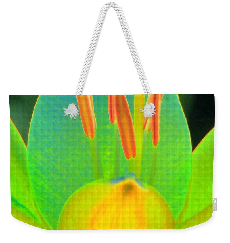 Flower Weekender Tote Bag featuring the photograph Flower Power 1179 by Pamela Critchlow