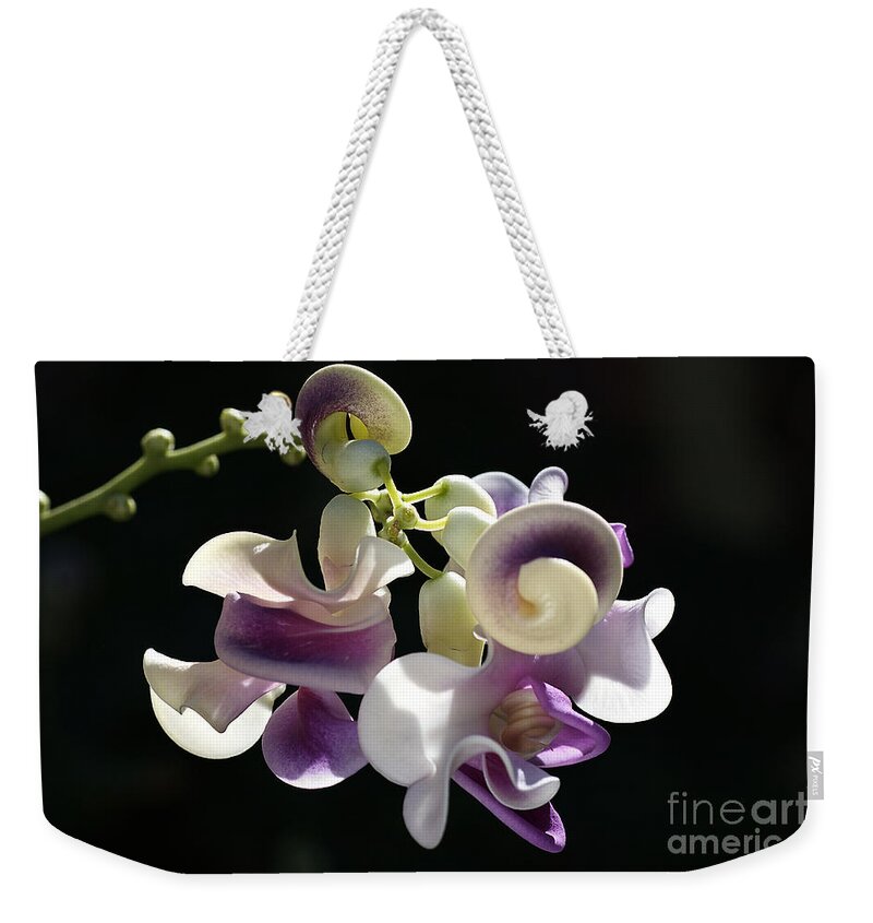 Corkscrew Flower Weekender Tote Bag featuring the photograph Flower-snail Flower by Joy Watson