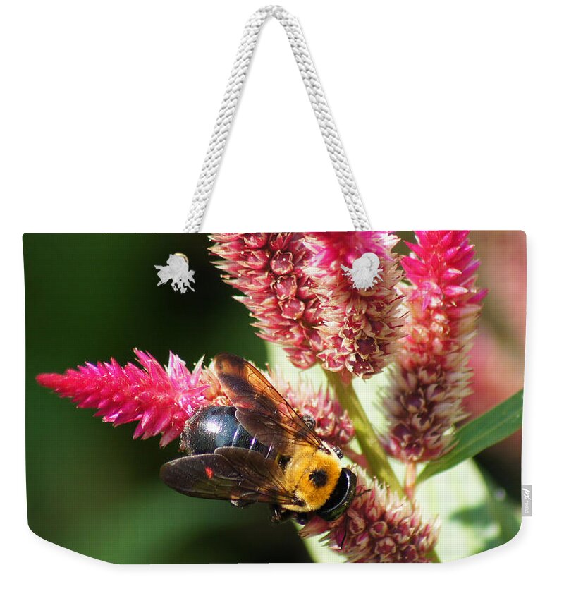 Bumble Bee Weekender Tote Bag featuring the photograph Flowering Bumble Bee by M Three Photos