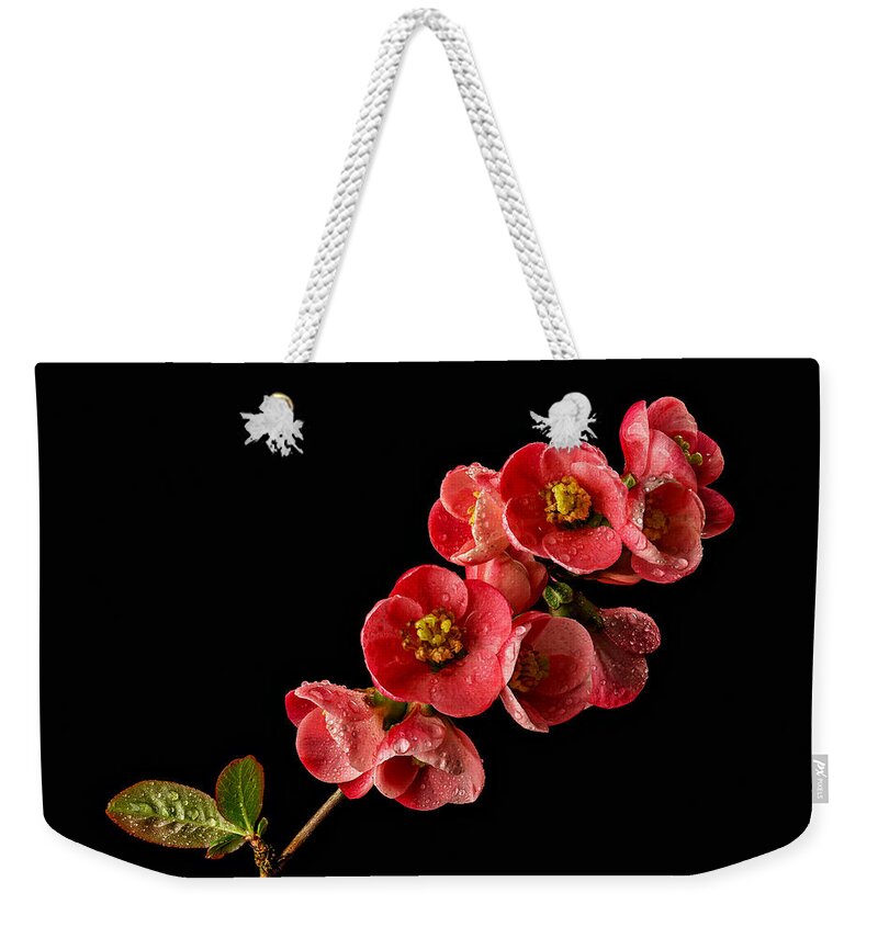 Quince Weekender Tote Bag featuring the photograph Flowering Quince by Mary Jo Allen