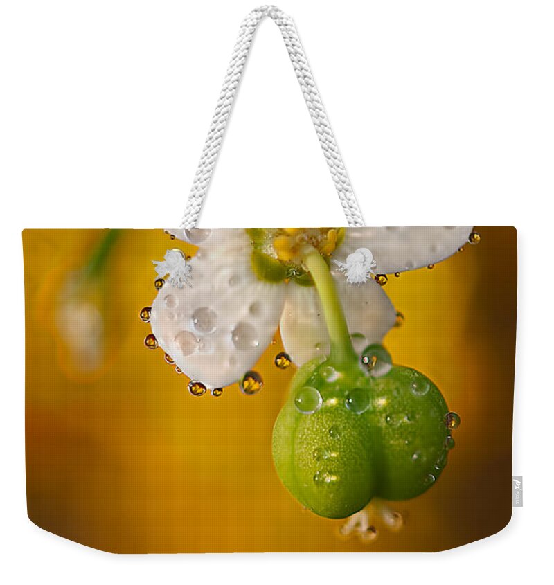 2012 Weekender Tote Bag featuring the photograph Flowering Spurge by Robert Charity