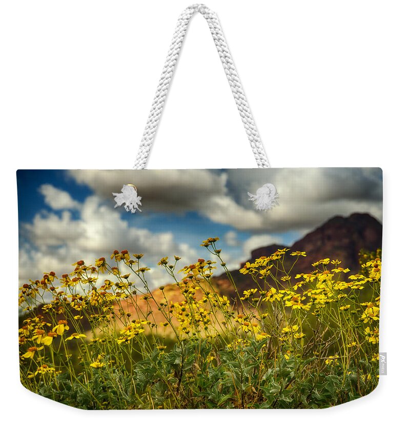 Yellow Brittlebush Weekender Tote Bag featuring the photograph Flowers are Food for the Soul by Saija Lehtonen