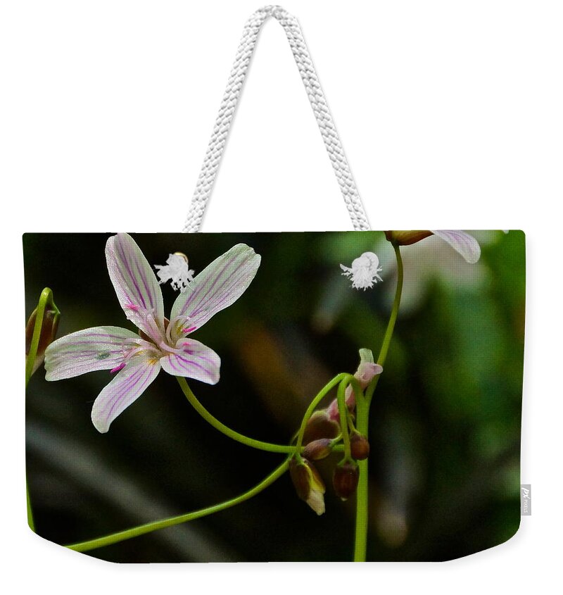 Spring Beauties Weekender Tote Bag featuring the photograph Flowers Are Smiles by Byron Varvarigos