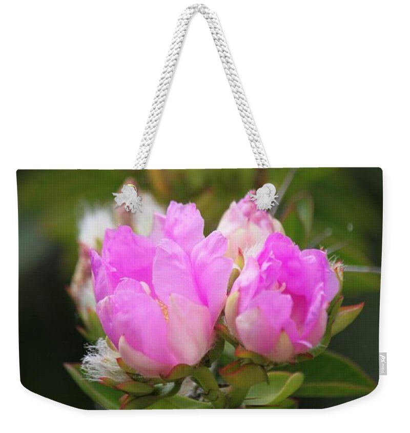 Flowers Weekender Tote Bag featuring the photograph Flowers For You by Amy Gallagher