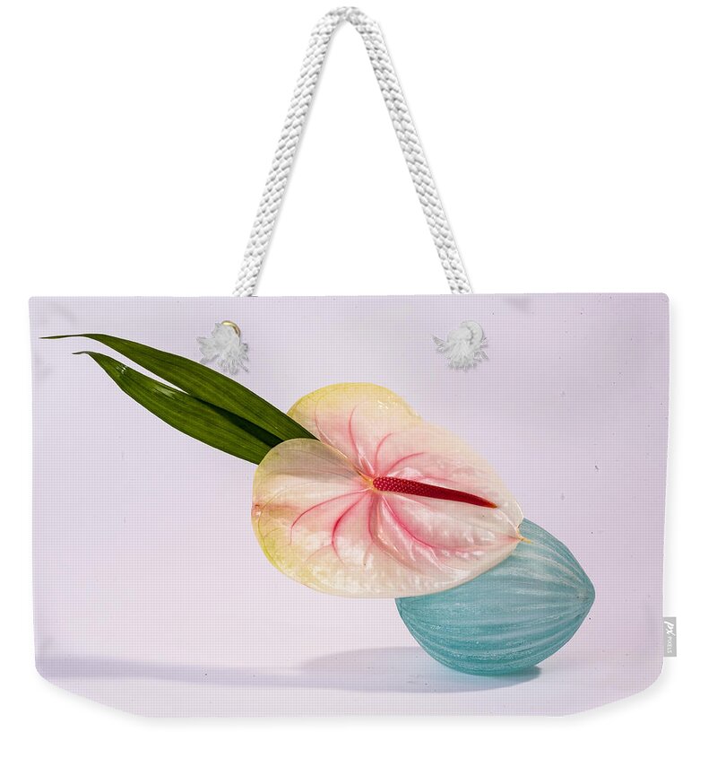 Flowers Weekender Tote Bag featuring the photograph Flowers in Vases 8 by Matthew Pace