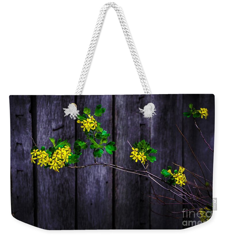 Barn Weekender Tote Bag featuring the photograph Flowers On Abandoned Farm House by Michael Arend