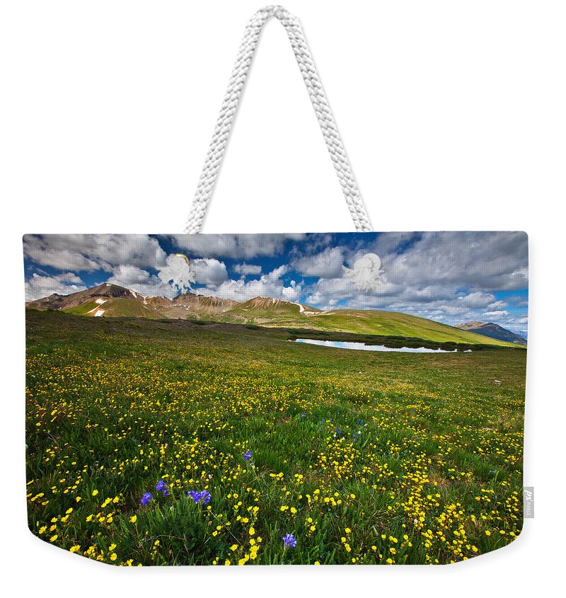 Wildflowers Weekender Tote Bag featuring the photograph Flowers on the Divide by Darren White