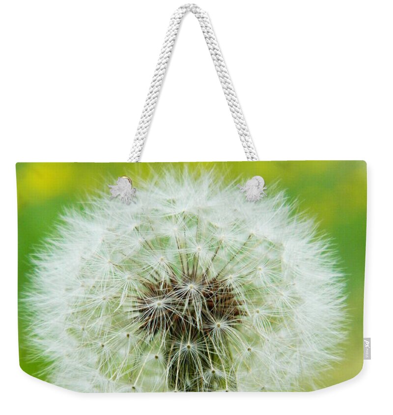 Dandelion Weekender Tote Bag featuring the photograph Fluffy dandelion by Andrea Anderegg
