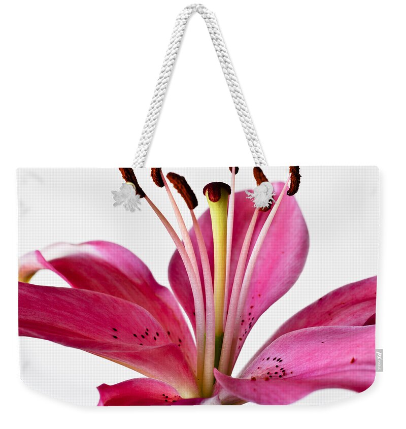 Bloom Weekender Tote Bag featuring the photograph Fluttering Lily by Christi Kraft