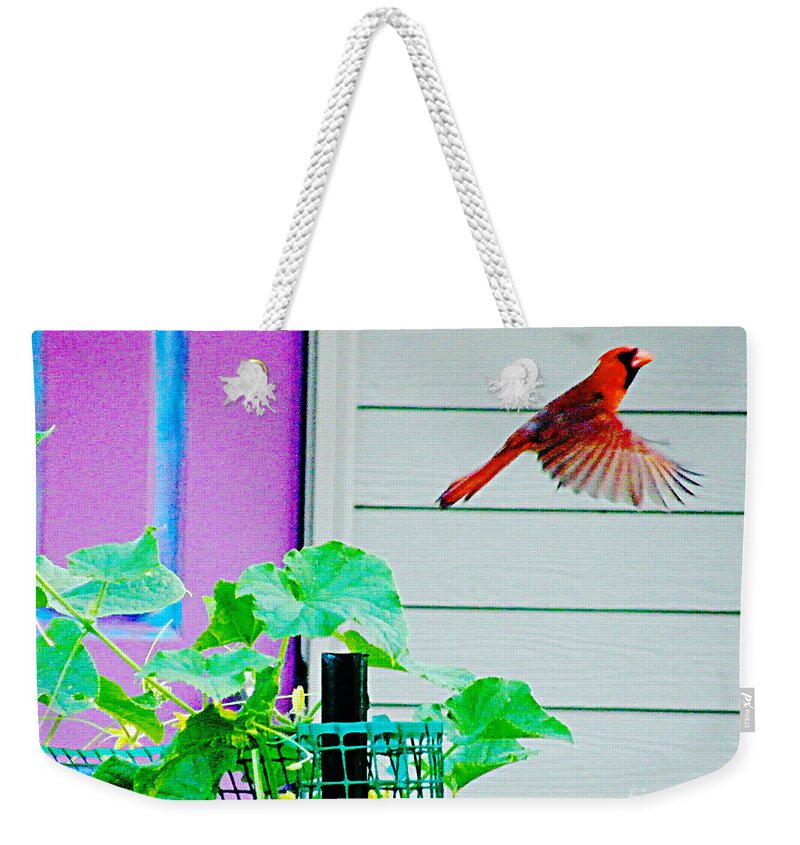 Bird Weekender Tote Bag featuring the digital art Fly By by Lizi Beard-Ward