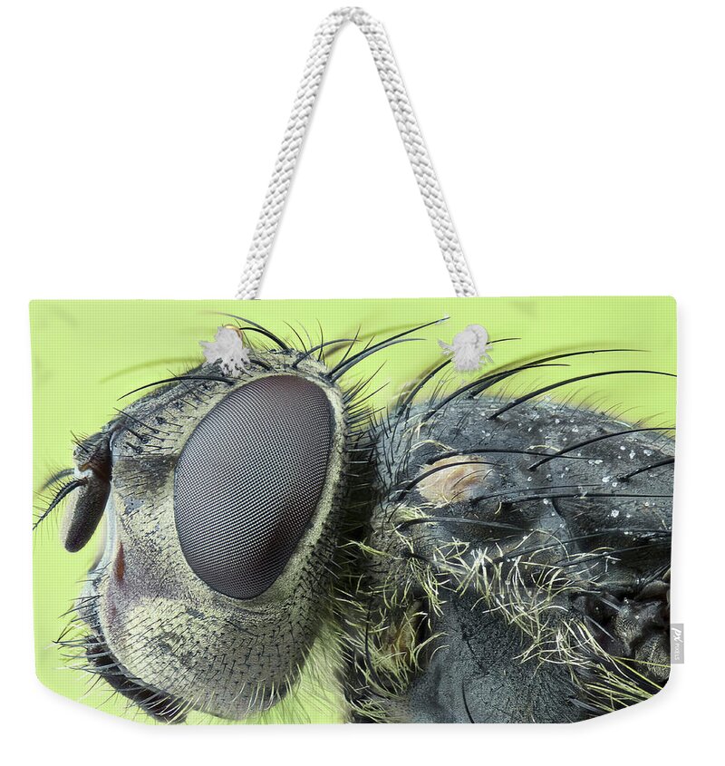Insect Weekender Tote Bag featuring the photograph Fly Head by Mikroman6