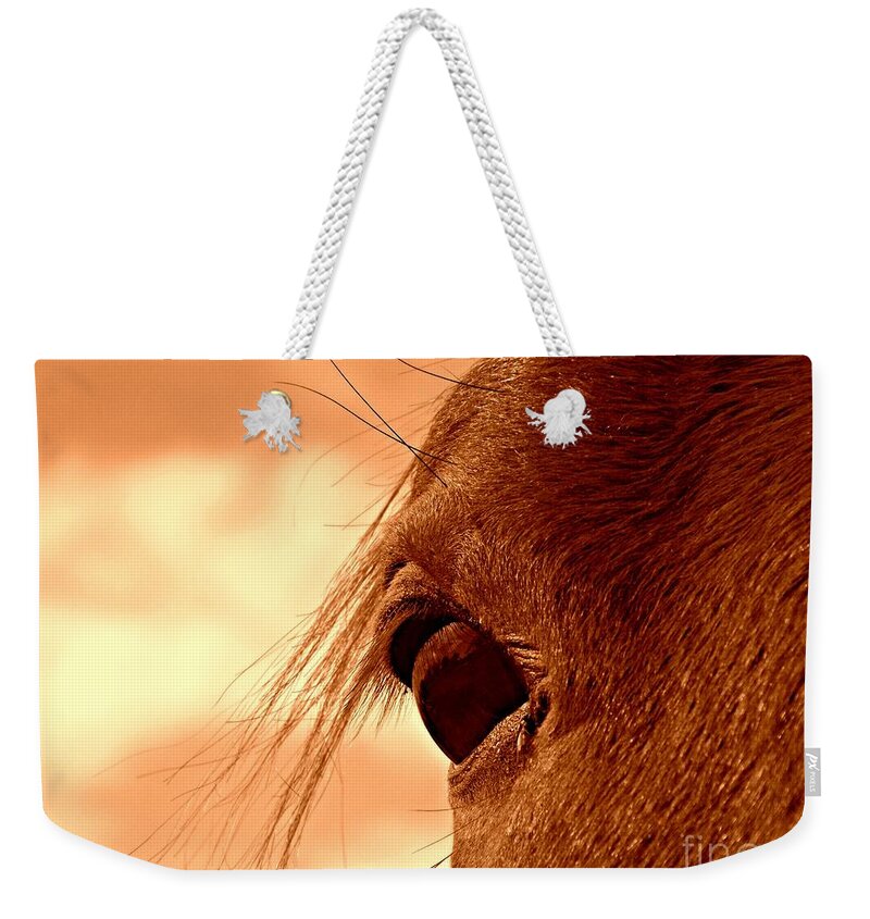 Horse Weekender Tote Bag featuring the photograph Fly in the Eye by Clare Bevan