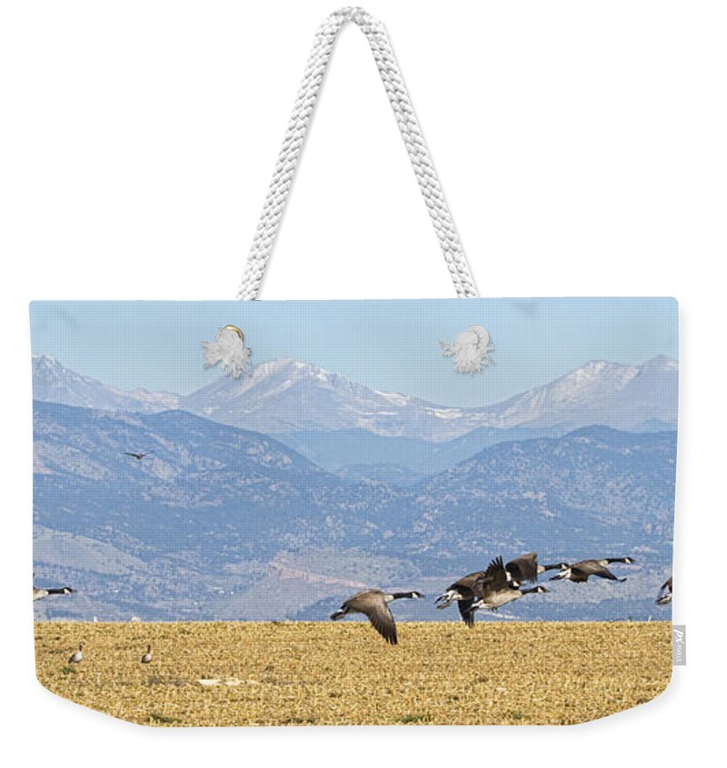 Cackling Goose Weekender Tote Bag featuring the photograph Flying Canadian Geese Rocky Mountains Panorama 2 by James BO Insogna