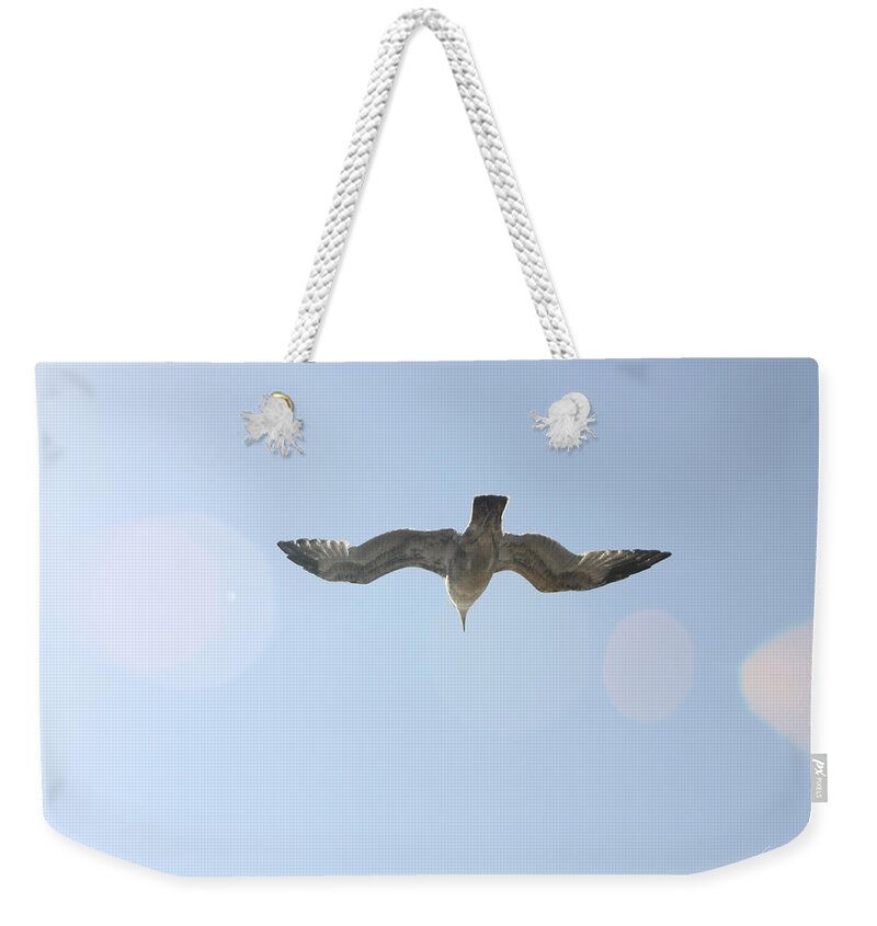 Flying Weekender Tote Bag featuring the photograph Flying Free by Diana Haronis