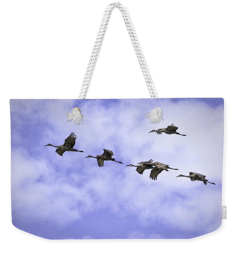 Birds Weekender Tote Bag featuring the photograph Flying in Formation by Fran Gallogly