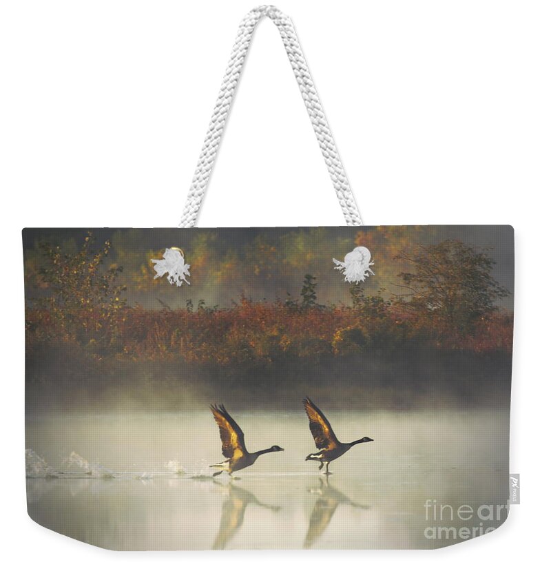 Canada Geese Weekender Tote Bag featuring the photograph Foggy Autumn Morning by Elizabeth Winter