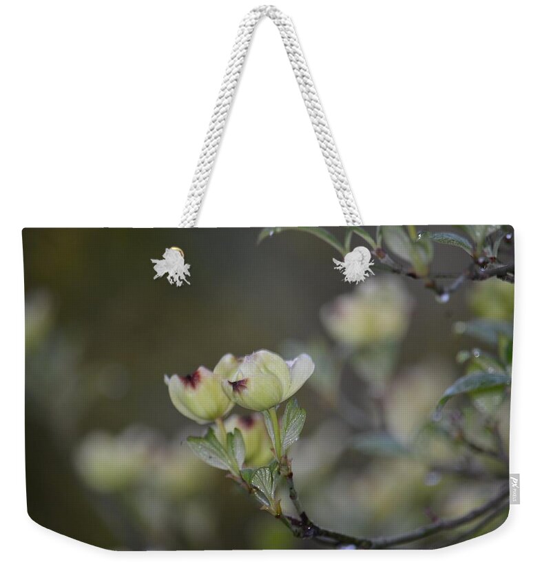 Foggy Dogwood Weekender Tote Bag featuring the photograph Foggy Dogwood by Maria Urso
