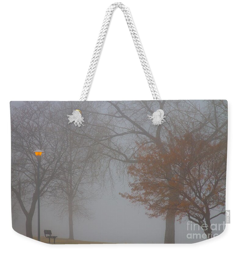 Fog Weekender Tote Bag featuring the photograph Foggy Lake View by James BO Insogna