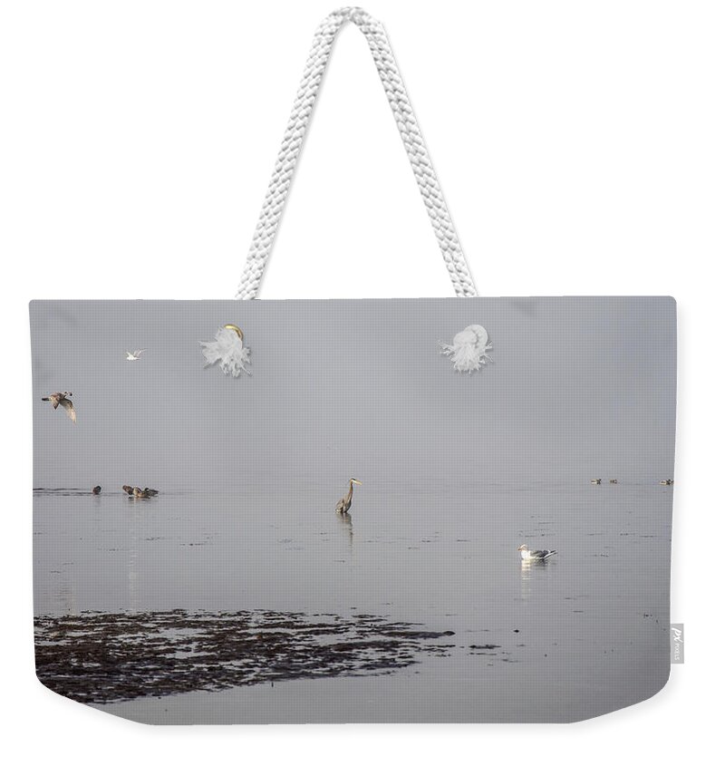 Fog Weekender Tote Bag featuring the photograph Foggy Seabird Gathering by Roxy Hurtubise