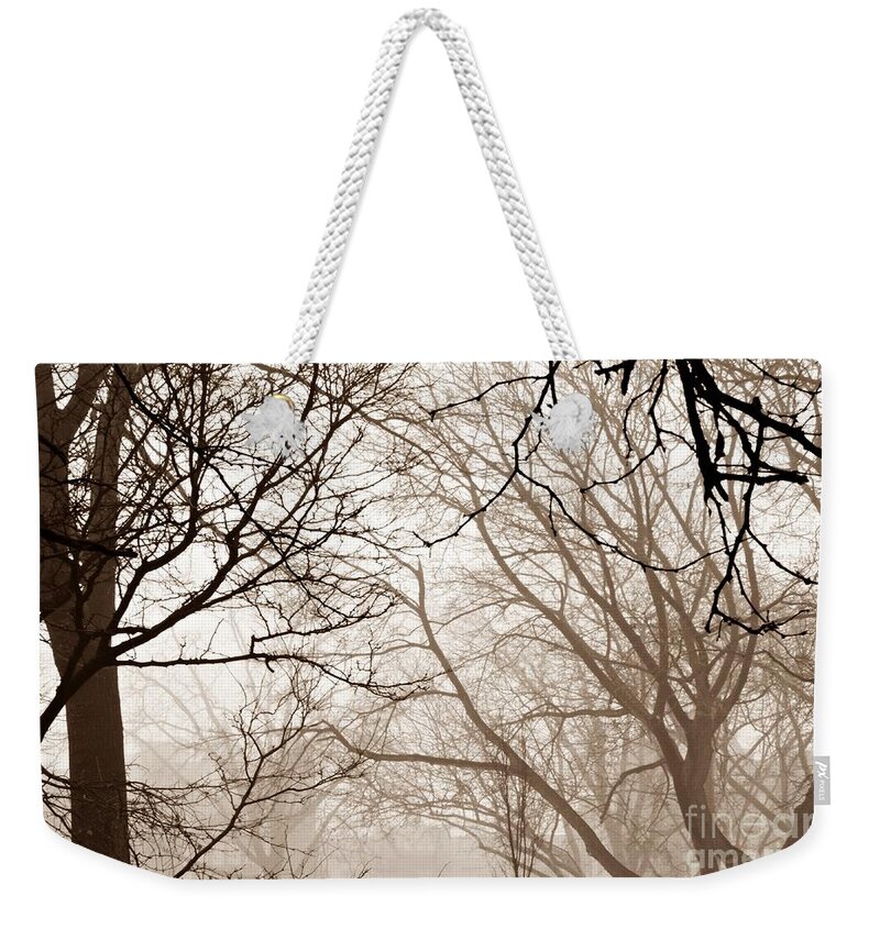 Tree Weekender Tote Bag featuring the photograph Foggy Winter Afternoon in Sepia by Sarah Loft