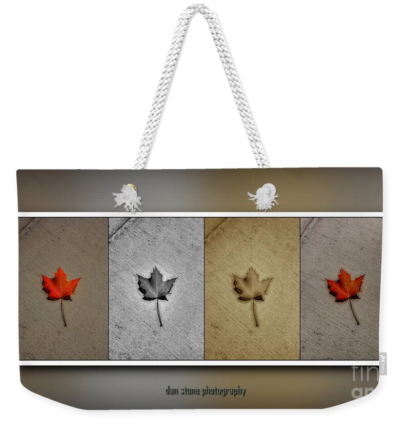 Autumn Weekender Tote Bag featuring the digital art Foliaquad 2 by Dan Stone