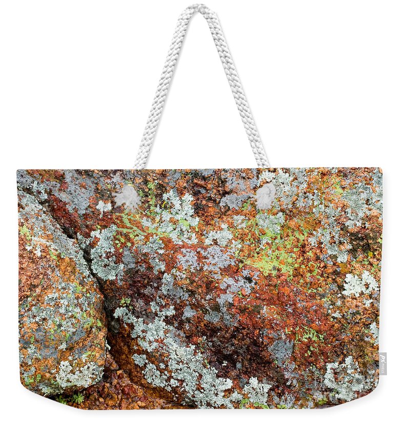 Rock Weekender Tote Bag featuring the photograph Foliose Lichens On Red Granite by Gregory G. Dimijian