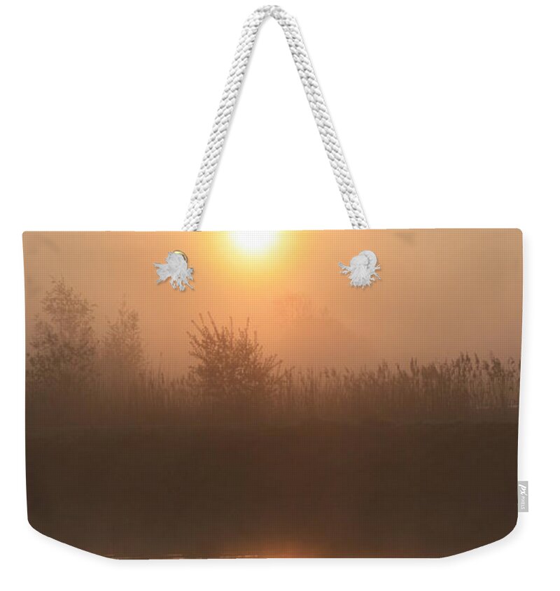 Nature Weekender Tote Bag featuring the photograph Follow Us by Linsey Williams
