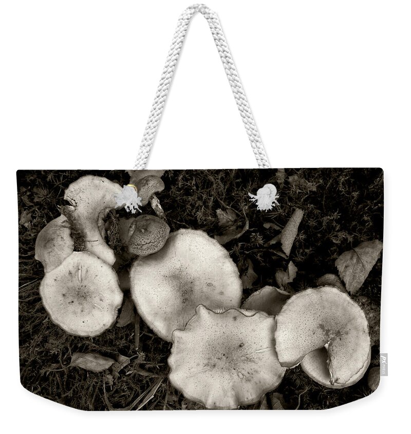 Mushroom Weekender Tote Bag featuring the photograph Food for Thought in Tones of Dark Brown by Louise Kumpf