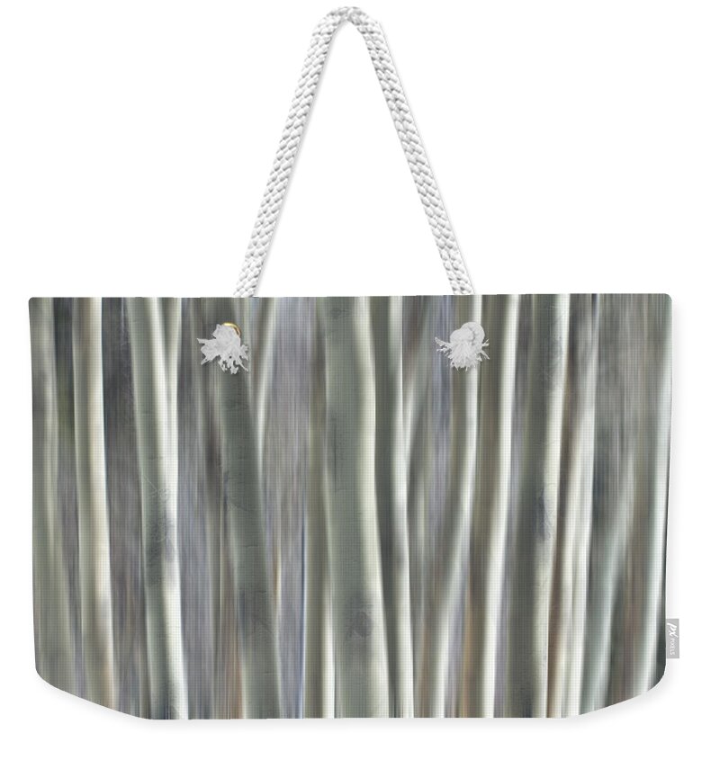 Forest Weekender Tote Bag featuring the photograph Forest of Dreams by James BO Insogna