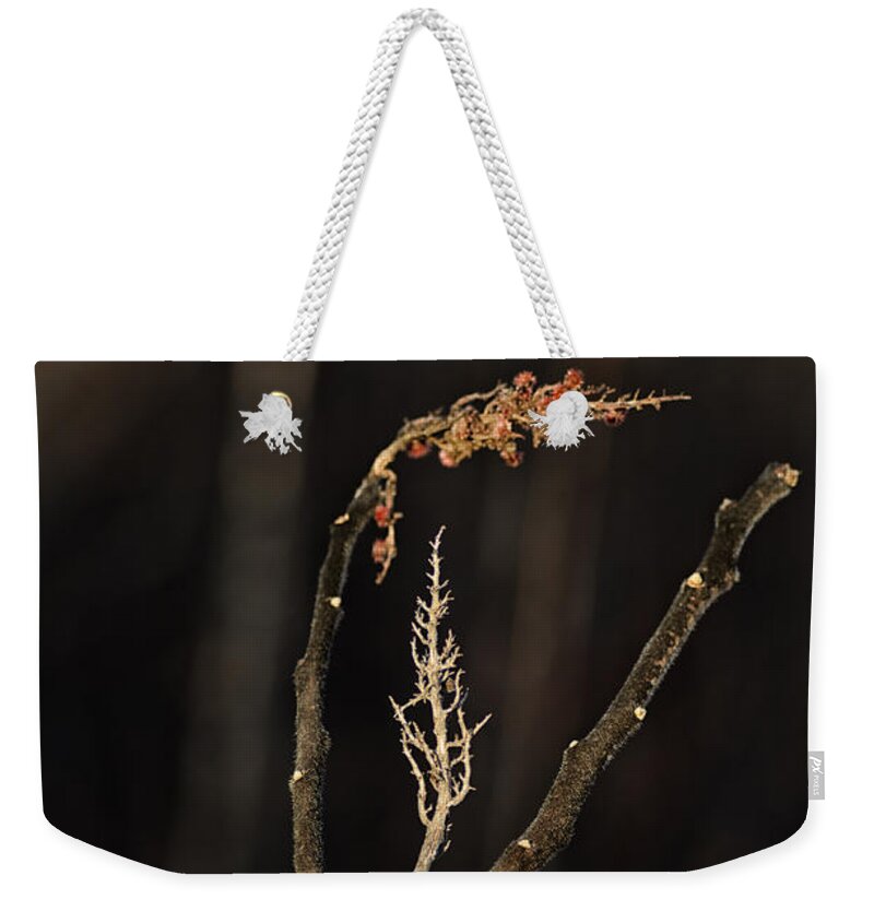 Staghorn Sumac Weekender Tote Bag featuring the photograph Forest Song by Sue Capuano