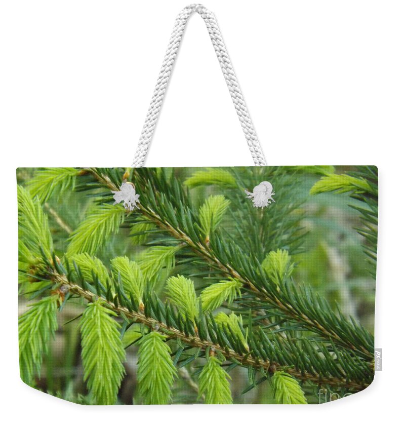Tree Weekender Tote Bag featuring the photograph Forever Lime Green by Brenda Brown