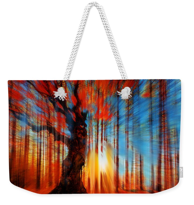 Color Weekender Tote Bag featuring the painting Forrest And Light by Tony Rubino