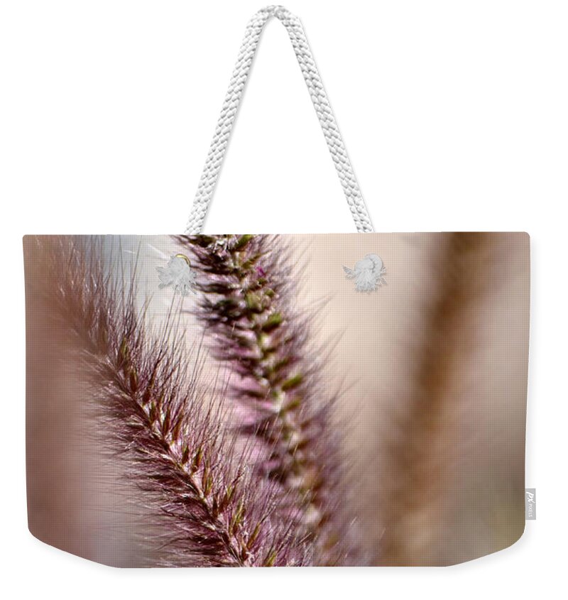 Fountain Grass Weekender Tote Bag featuring the photograph Fountain Grass by Deb Halloran