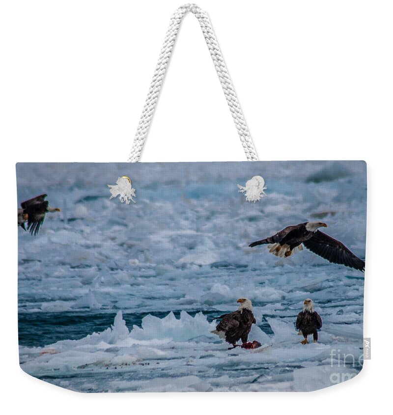 Bald Eagle Weekender Tote Bag featuring the photograph Four Bald Eagles by Ronald Grogan